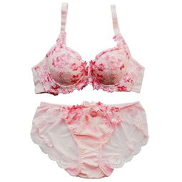 黛安芬内衣价格指南及比价攻略 460-500元商品精选与51比购返利网评测