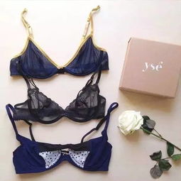 单品推荐 这几个颜值逆天的内衣品牌，你都穿过吗？